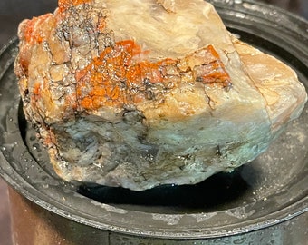 Opalized Petrified Wood