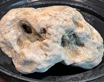 Ancient Sea Coral Fossil Silver