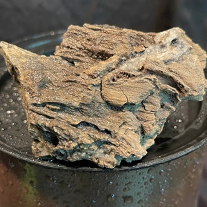 Petrified Bark/Wood with Crystal Cluster
