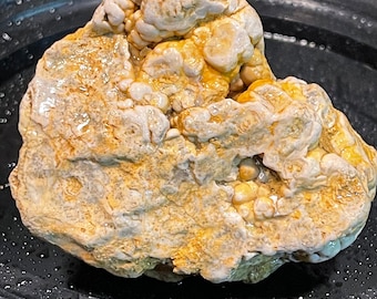 Ancient Golden Botryoidal Coral Fossil
