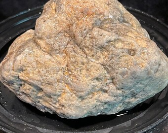 Ancient Sea Coral Fossil Silver