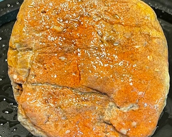 Ancient Sea Coral Fossil Red
