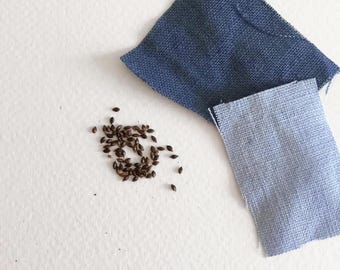 Persicaria Tinctoria Polygonum seeds Dye garden Natural Blue Dye seeds Organic seeds 150 seeds indigo