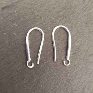 Puede incluir: Dos ganchos para pendientes de plata, cada uno con un pequeño bucle en el extremo.