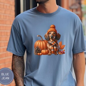 Op de afbeelding: Een blauw T-shirt met een cartoon afbeelding van een teckel die een bruine en oranje hoed en sjaal draagt, zittend voor een pompoen en ander herfstblad.