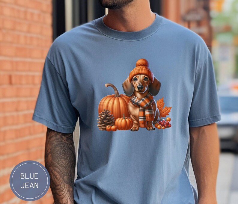 Op de afbeelding: Een blauw T-shirt met een cartoon afbeelding van een teckel die een bruine en oranje hoed en sjaal draagt, zittend voor een pompoen en ander herfstblad.