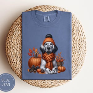 May include: A blue jean t-shirt with a white and black dog wearing a brown and orange knitted hat and scarf. The dog is surrounded by fall foliage, pumpkins, and acorns.