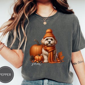 May include: A gray t-shirt with a graphic of a dog wearing a brown and orange hat and scarf, sitting next to a pumpkin and other fall decorations. The text "Sam" is printed below the graphic.