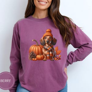 Op de afbeelding: Een paars langarm shirt met een afbeelding van een teckel die een gebreide muts en sjaal draagt, een pompoen vasthoudt en omringd is door herfstbladeren.