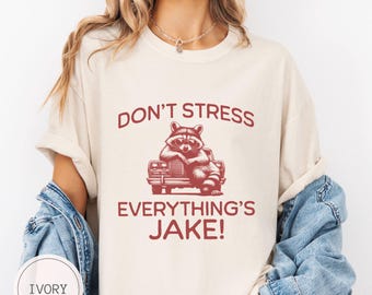 Shirt wasbeer meme, shirt grappige wasbeer, shirt meme, comfort kleuren wasbeer minnaar shirt, sarcastische wasbeer tshirt Don't Stress sweater