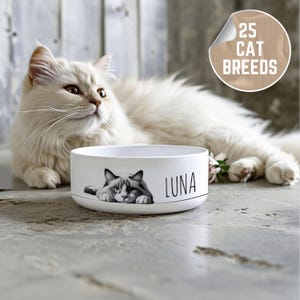 Personalised Cat Bowls For Cats Dogs, Custom Cat Bowl With Name, Ceramic Pet Bowl Personalisable Gift For Pet Cat Lovers, Cute Cat Food Bowl