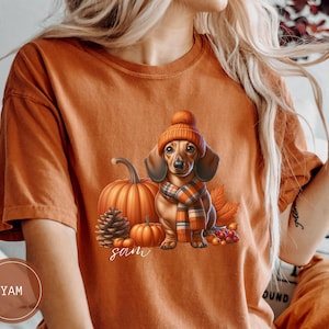 Op de afbeelding: Oranje T-shirt met een teckel die een bruine en oranje hoed en sjaal draagt, omringd door pompoenen en herfstbladeren. De tekst "sam" is op het T-shirt gedrukt.