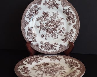 Royal Stafford Brown 2 Birds Floral Plate  8"  Vintage NEW made in England
