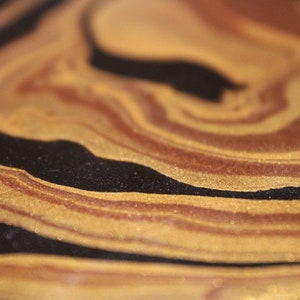 Baby anaconda Canvas