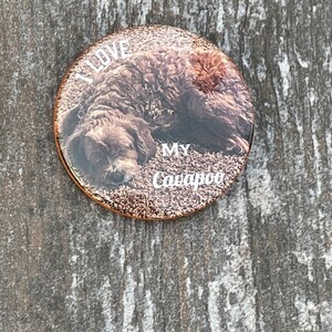 May include: A round button with a brown and white dog sleeping on a brown and white background. The button has the text "I love my Cavapoo" on it.