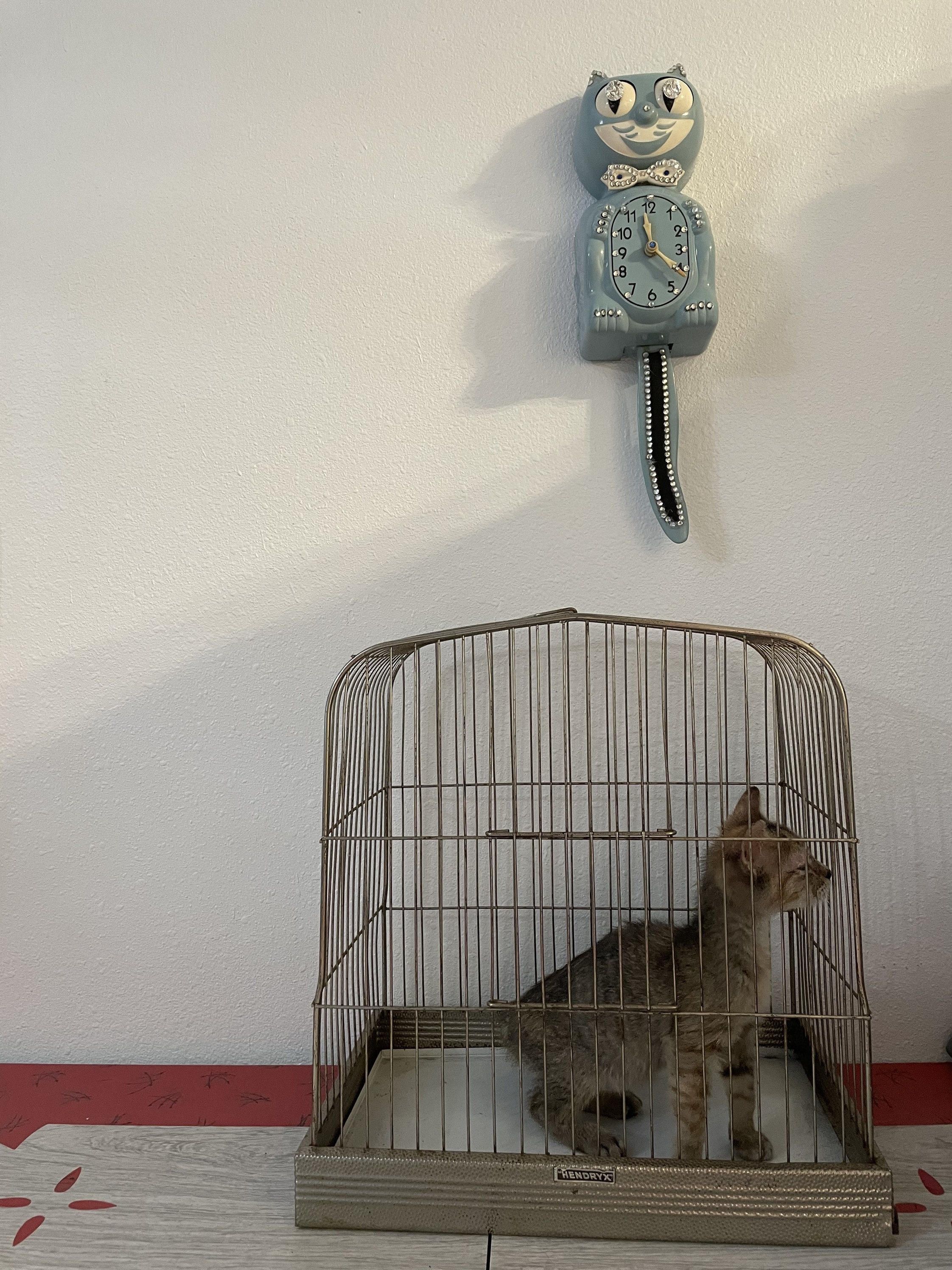 Bird Cage for sale compared to CraigsList Only 2 left at 75