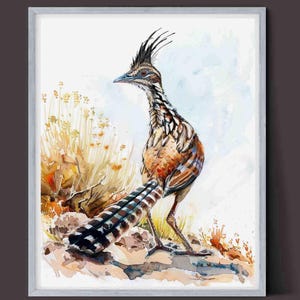 Impression d&#39;art Roadrunner, faune du désert, décoration du sud-ouest