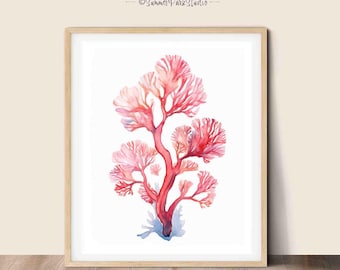 Red Coral Watercolor Art Print: Coastal Marine Life Decor