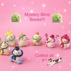 Op de afbeelding: Een verzameling van negen kleine, witte, ronde eendenbeeldjes op een roze achtergrond. Elke eend draagt een ander accessoire, waaronder hoeden, sjaals en hoofddeksels met fruitthema. Tekst leest Mystery Blind Boxes!!! en Collect all 9!!.