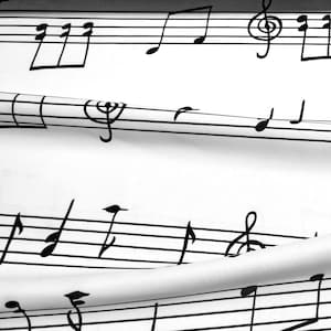 Tessuto con note musicali - Pentagramma, linee, foglio di note musicali nero su bianco, tessuto con note musicali e simboli per rivestimento di sedie, tessuto per cameretta dei bambini