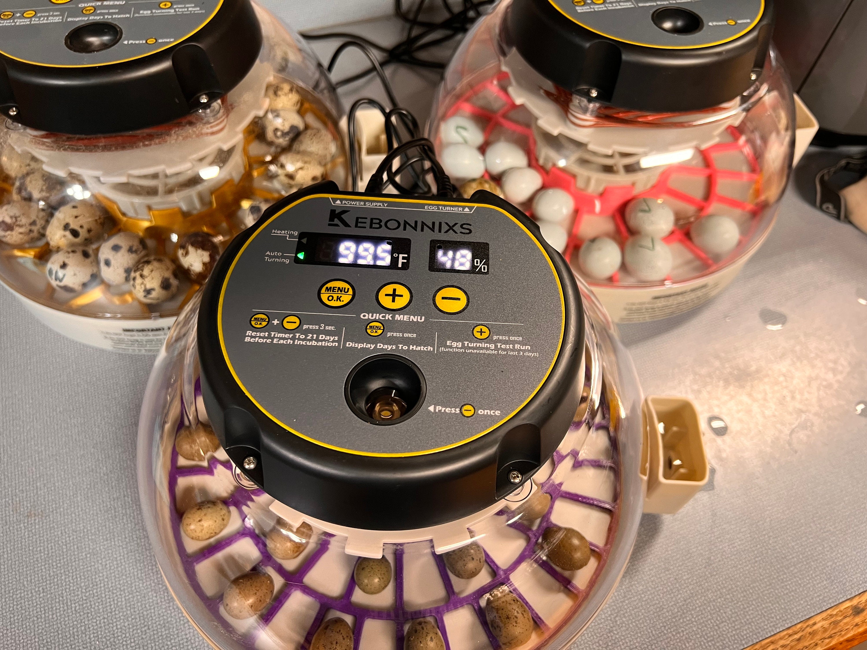 Kebonnix Egg Turner Attachment - Etsy