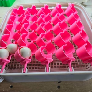 Maticoopx30/Kufika24 Egg Basket Attachment