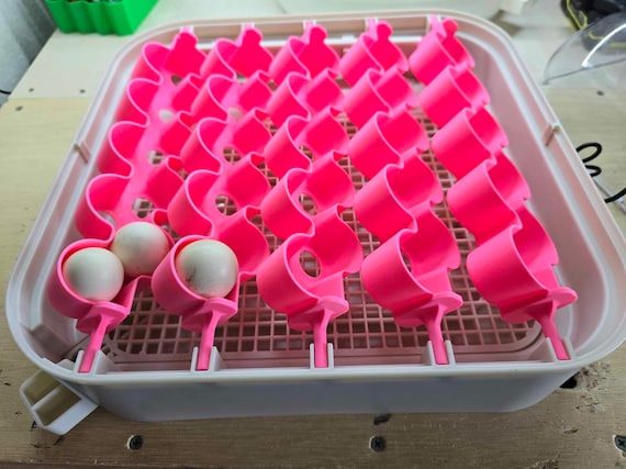 Maticoopx30/Kufika24 Egg Basket Attachment