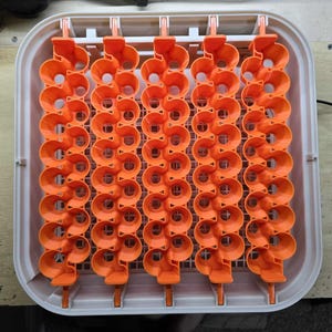 Jumbo Small-16 x 1.17in Round Eggs