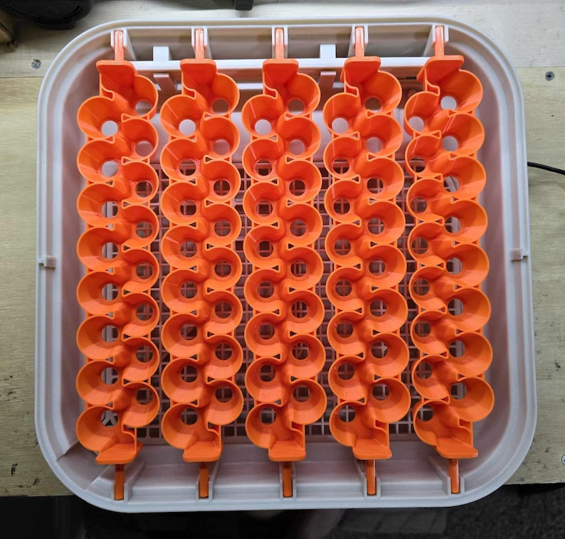 Jumbo Small-16 x 1.17in Round Eggs