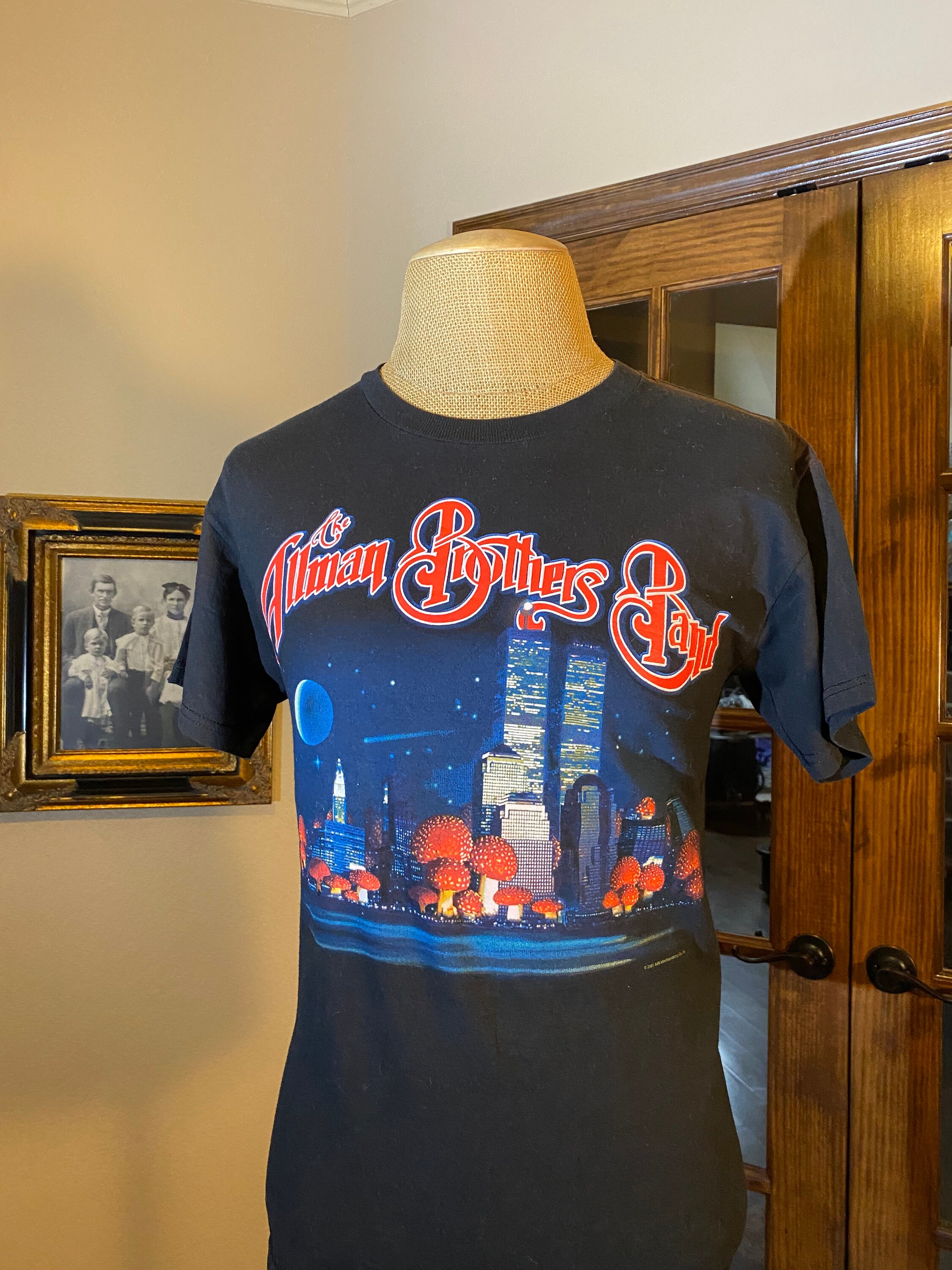 Vintage the ALLMAN BROTHERS BAND Tour the Odyssey Goes on Forever Music