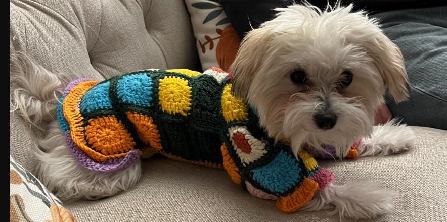 Handmade Crochet Colorful Dog Sweater, Bohemian Knit Pet Coat - Etsy