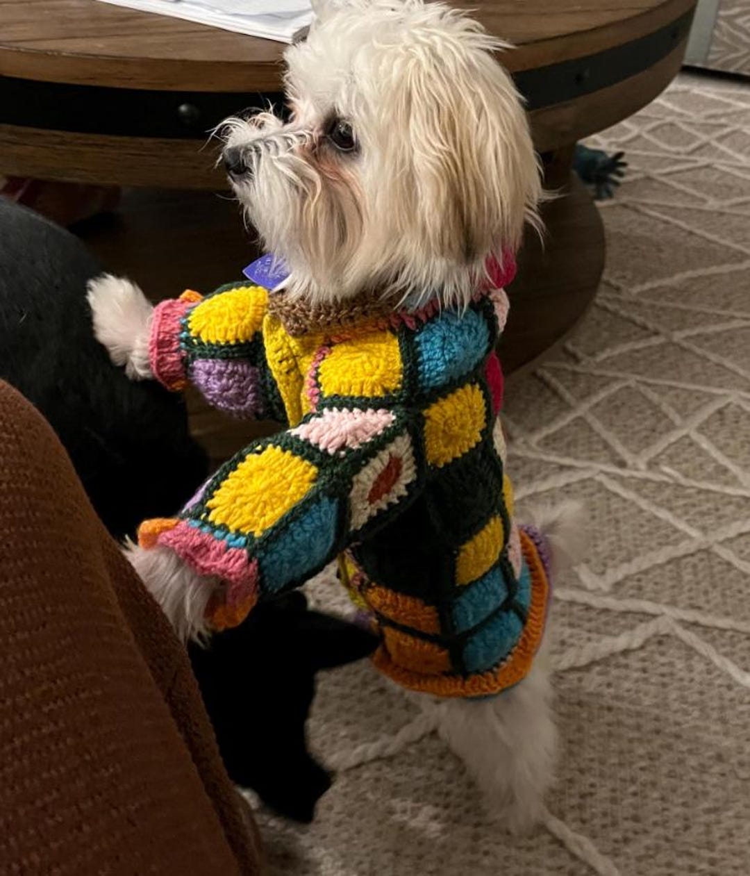 Handmade Crochet Colorful Dog Sweater, Bohemian Knit Pet Coat