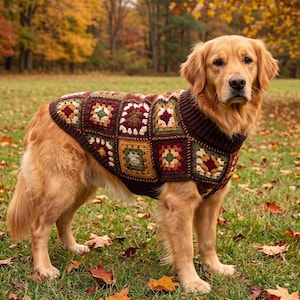 May include: A golden retriever dog wearing a crochet sweater made of multi-colored granny squares in shades of burgundy, mustard yellow, olive green, and cream, featuring a dark brown ribbed knit collar and trim around the edges of the garment.