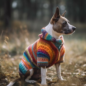 Cardigan per cani colorato, abbigliamento per cani, vestiti per animali domestici, abbigliamento per animali fatto a mano, accessori per animali domestici, cardigan in stile afgano per animali domestici immagine 4