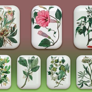 40 botones florales: gráficos PNG de flores 3D (descarga digital) imagen 8