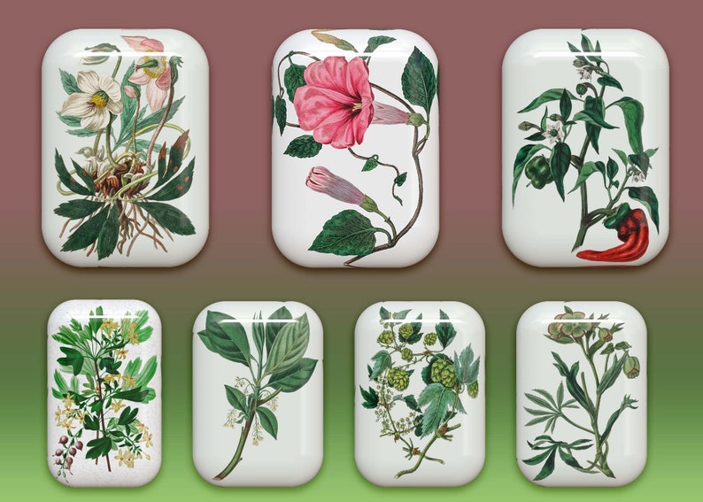 40 botones florales: gráficos PNG de flores 3D (descarga digital) imagen 8