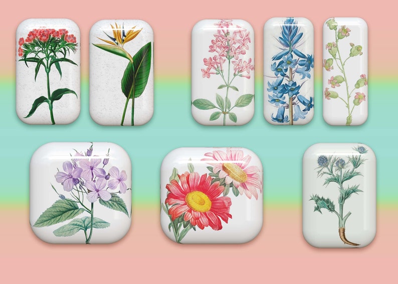 40 botones florales: gráficos PNG de flores 3D (descarga digital) imagen 7