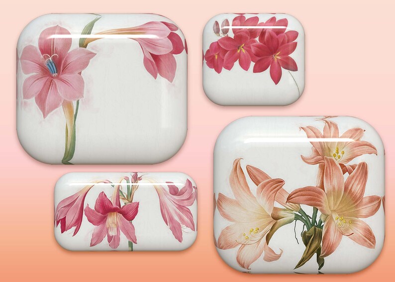 40 botones florales: gráficos PNG de flores 3D (descarga digital) imagen 2