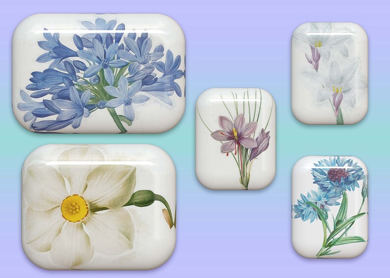 40 botones florales: gráficos PNG de flores 3D (descarga digital) imagen 4
