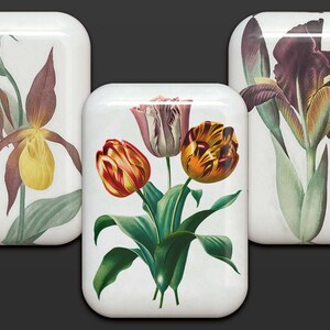 40 botones florales: gráficos PNG de flores 3D (descarga digital) imagen 5