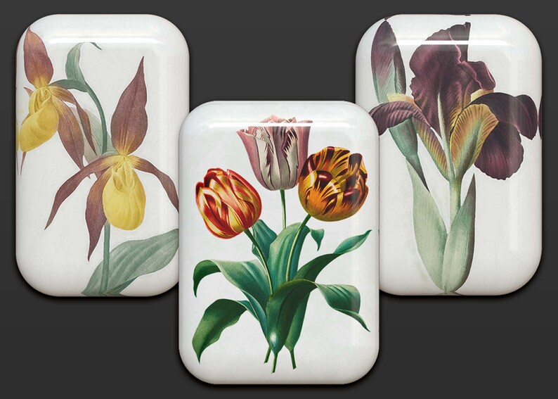 40 botones florales: gráficos PNG de flores 3D (descarga digital) imagen 5