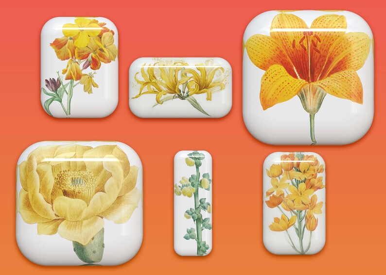40 botones florales: gráficos PNG de flores 3D (descarga digital) imagen 3