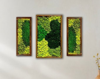 Moss Pattern Wall Art - Real Moss, Zero Maintenance - Eco-Friendly Natural Green Decor, Serene Moss Wall Decor, Preserved Moss, SET OF 3