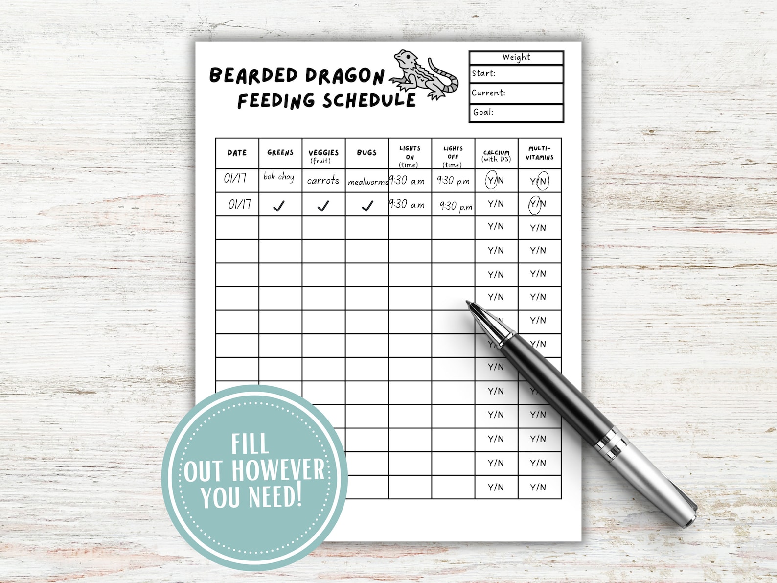 Bi-weekly Bearded Dragon Feeding Chart - Etsy