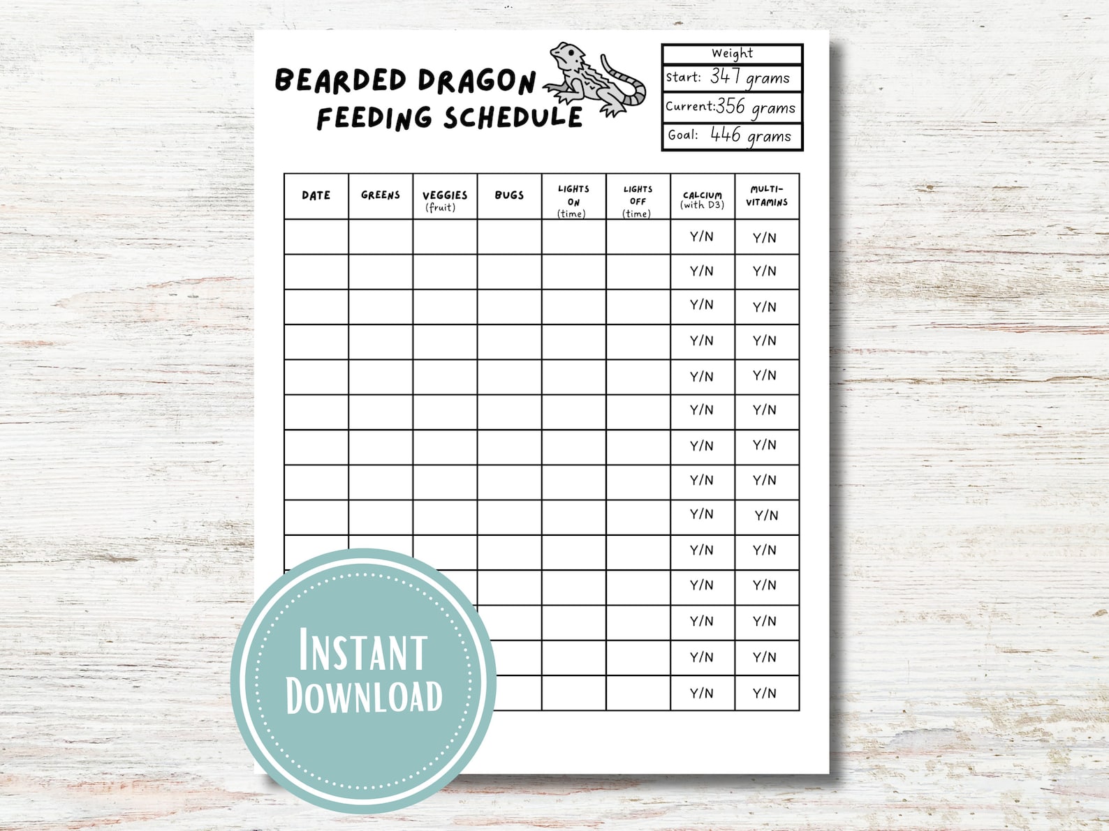 View of Bi-weekly Bearded Dragon Feeding Chart - Etsy