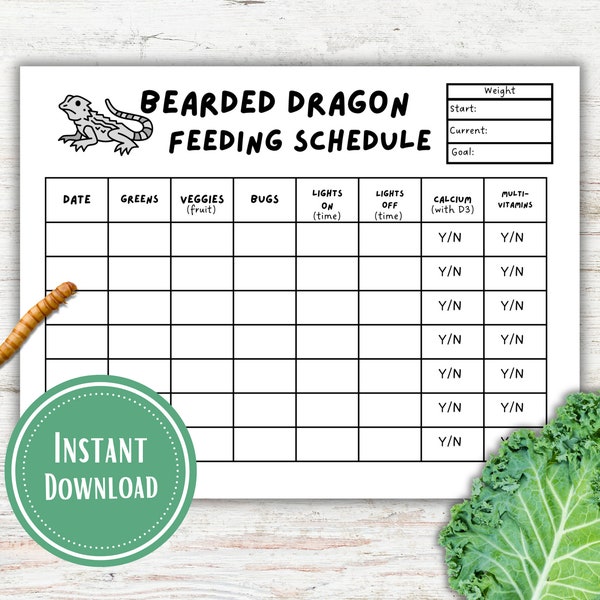 Weekly Bearded Dragon Feeding Chart