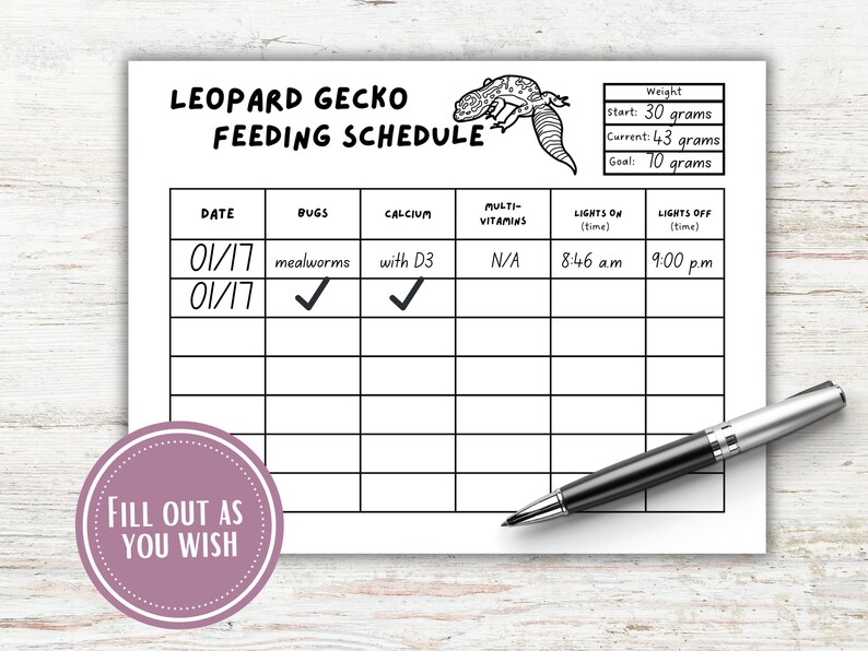 Weekly Snake Feeding Routine Printable Reference: Leopard Gecko Weekly Feeding Schedule Chart