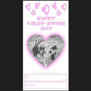 Op de afbeelding: Een roze en witte Valentijnskaart met een varken in een hartvormig frame. De kaart zegt "Happy Valen-Swine Day".
