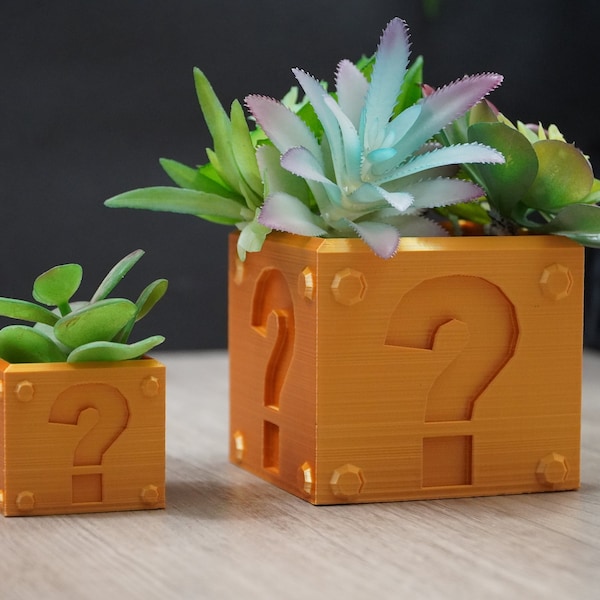 Mystery Box Succulent Planter | Super Mario Mystery Box | Small Planter