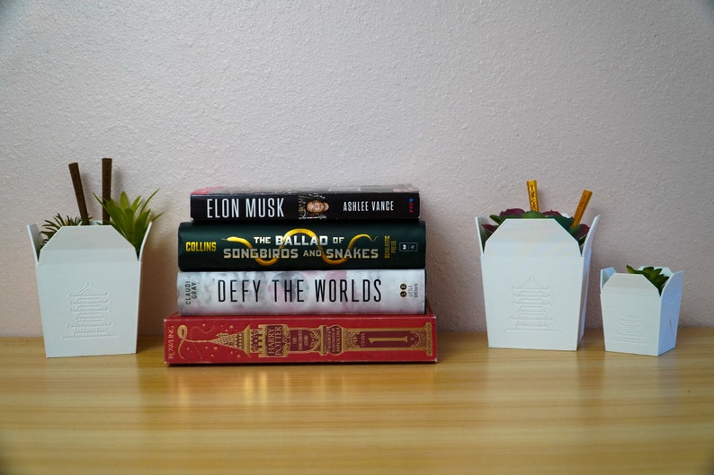 3D Printed Chinese Takeout Box Planter / Flowerpot Etsy